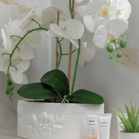 Daire Modern 1 Maja With Parking In By Rent Like *